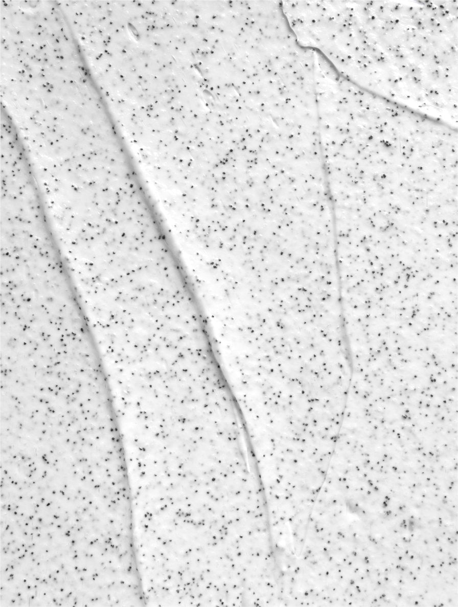 RENEWAL POLISH SCRUB